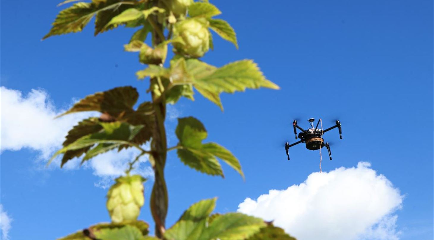 En drone flyver tæt på en grøn plante